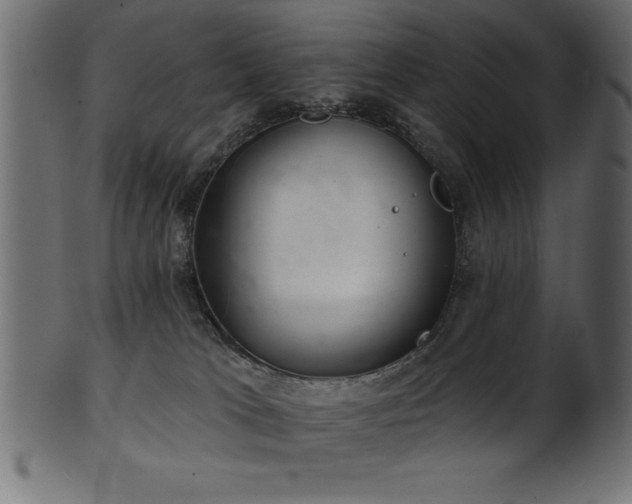 X0000102020037200807181336