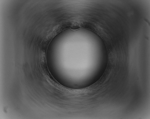 X0000102020038200807181336