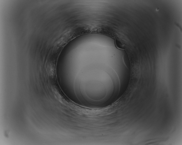 X0000102020039200807181336