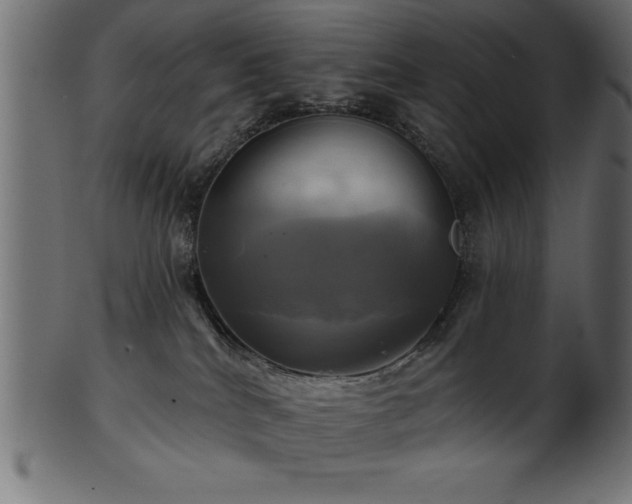 X0000102020040200807181336