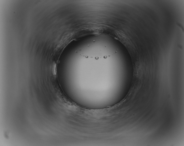 X0000102020041200807181336