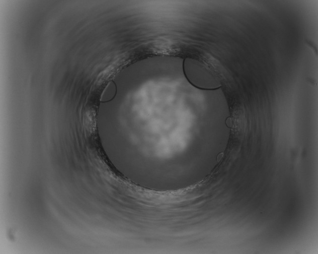 X0000102020043200807181336