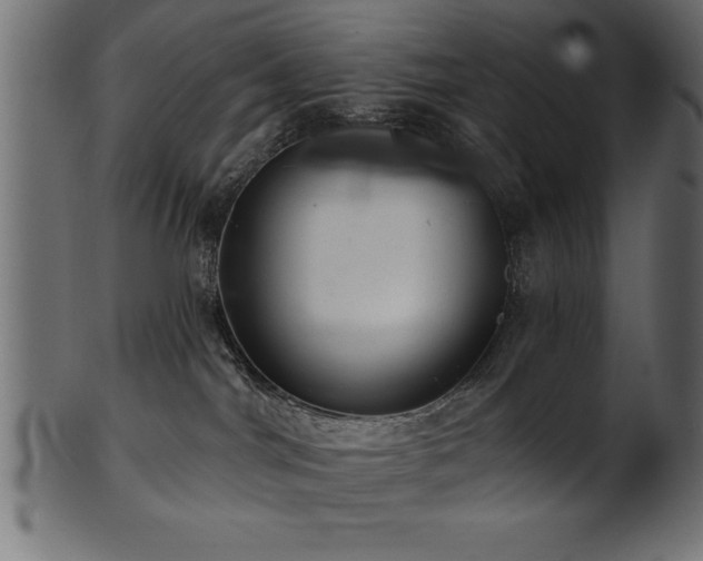 X0000102020044200807181336