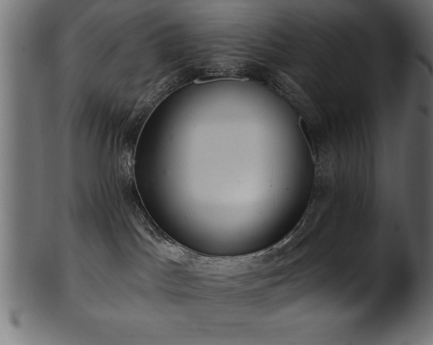 X0000102020045200807181336
