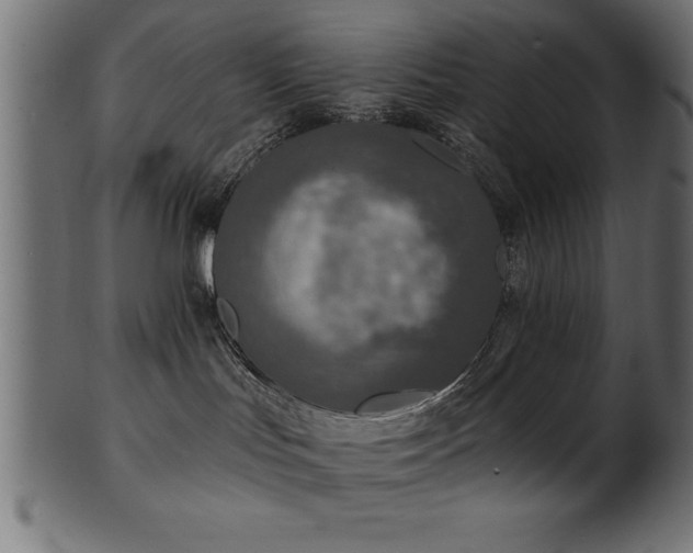 X0000102020047200807181336