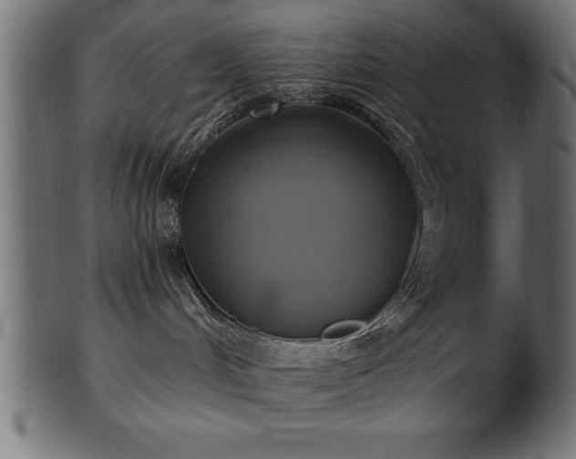 X0000102020048200807181336