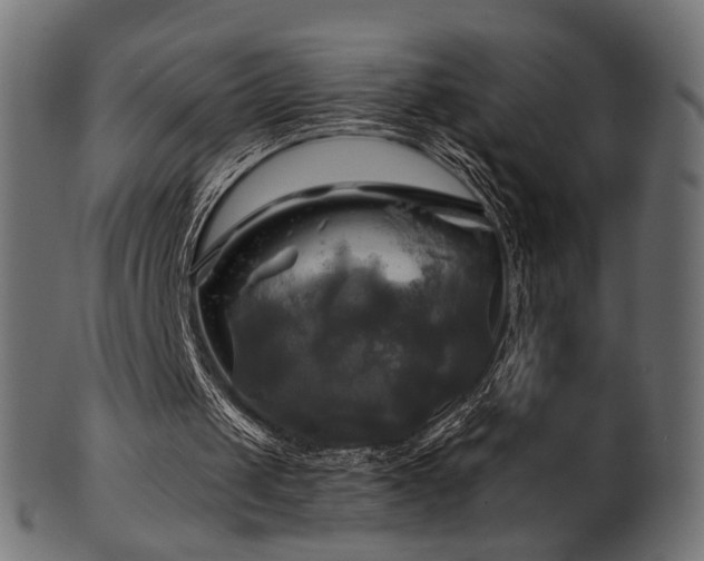 X0000102020049200807181336