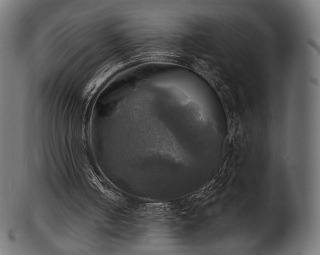 X0000102020050200807181336
