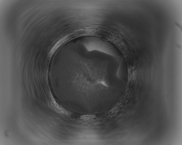 X0000102020051200807181336