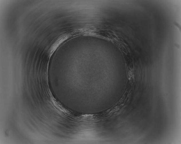 X0000102020052200807181336