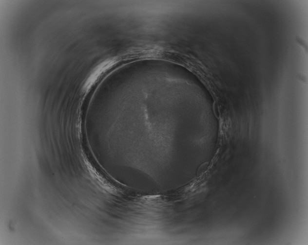 X0000102020054200807181336