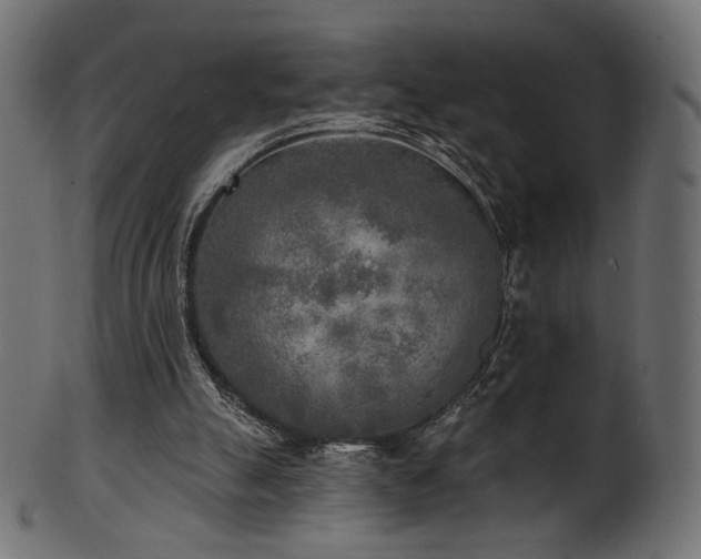 X0000102020055200807181336