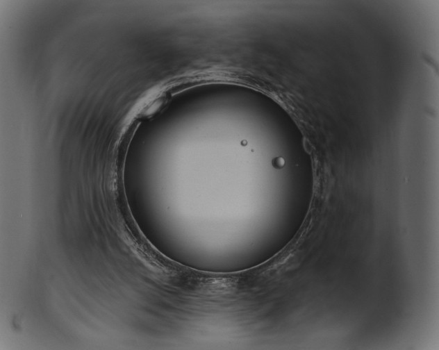 X0000102020056200807181336