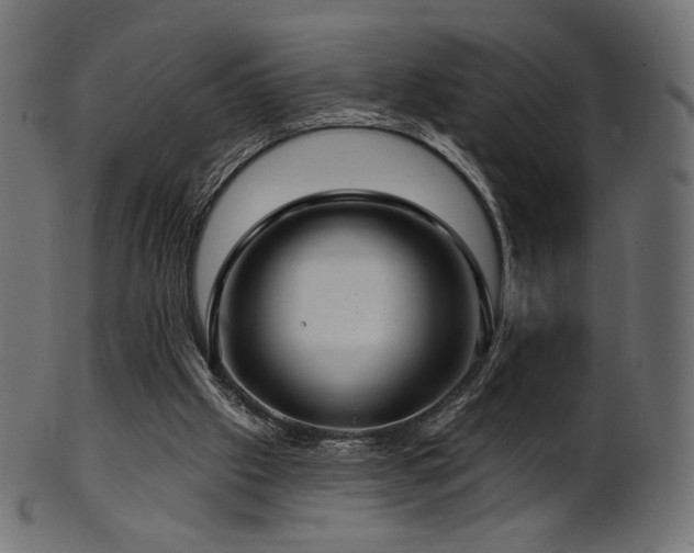 X0000102020057200807181336