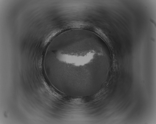 X0000102020058200807181336