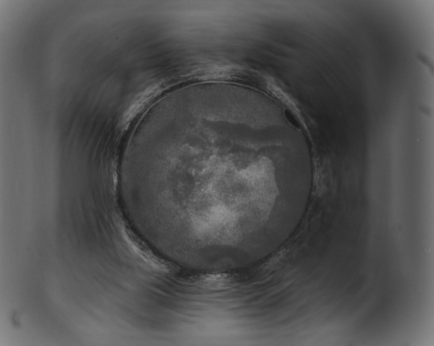 X0000102020059200807181336