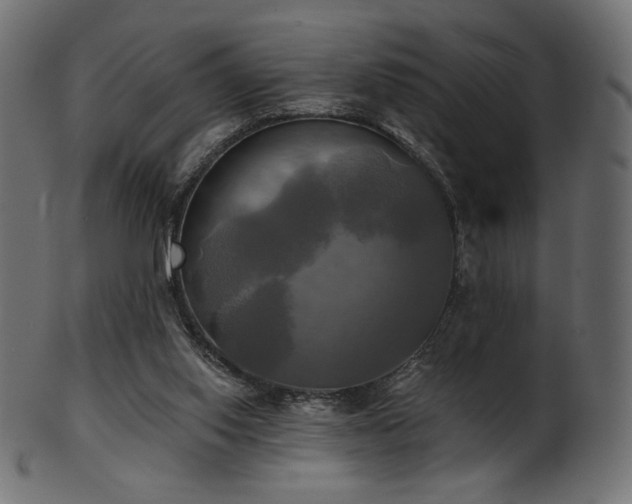 X0000102020062200807181336