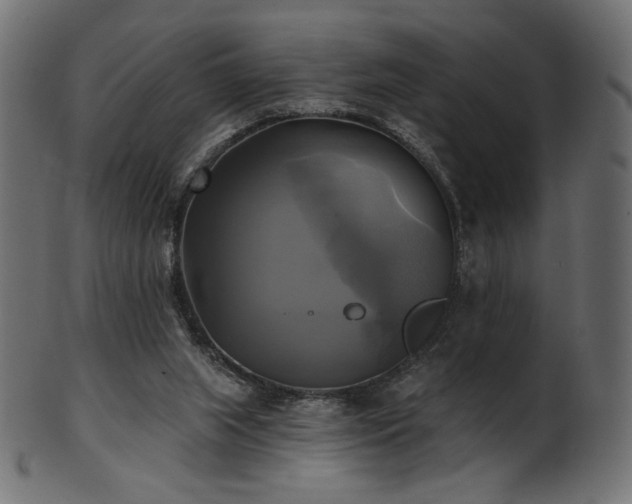 X0000102020063200807181336