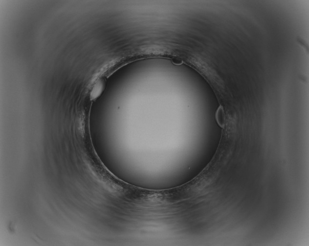X0000102020064200807181336