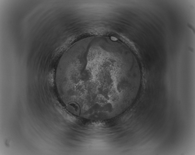 X0000102020065200807181336