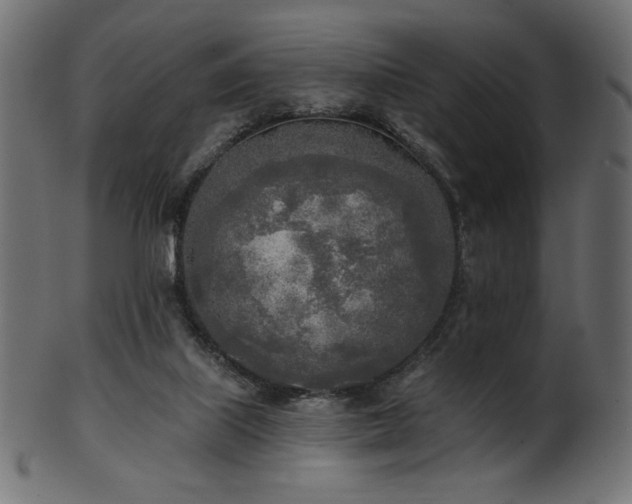 X0000102020067200807181336