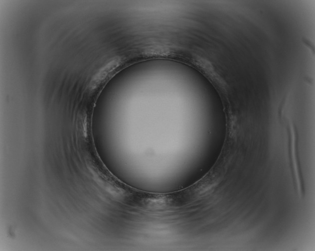 X0000102020068200807181336
