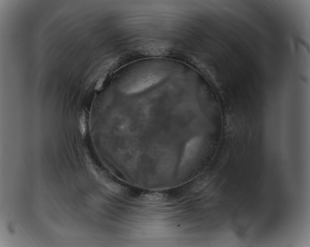 X0000102020069200807181336
