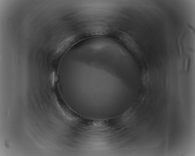 X0000102020070200807181336