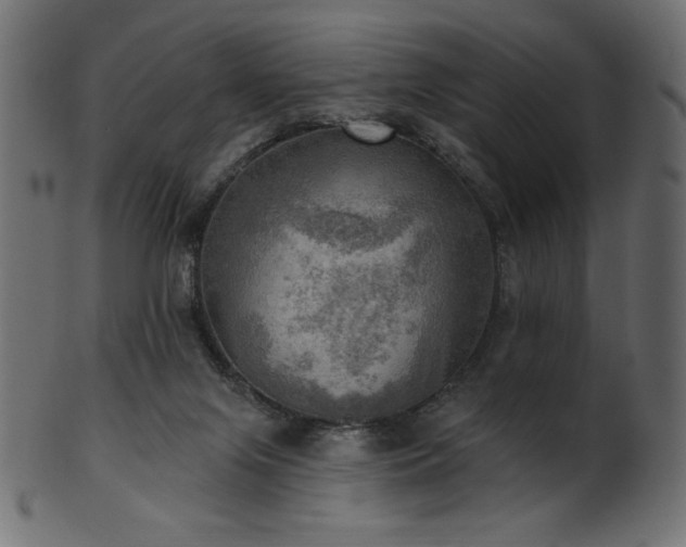 X0000102020071200807181336