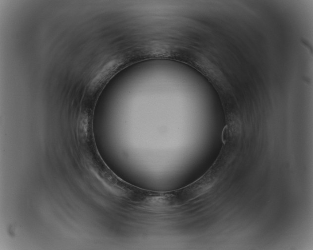 X0000102020072200807181336