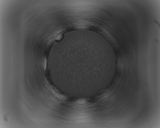 X0000102020076200807181336