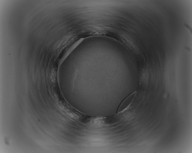 X0000102020078200807181336