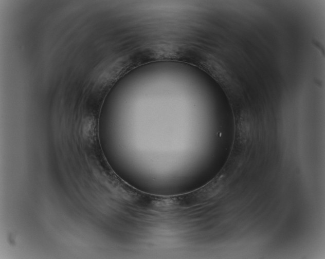 X0000102020079200807181336