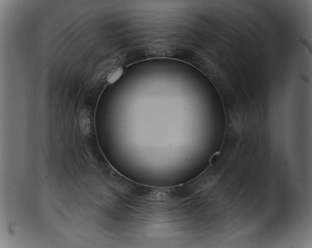 X0000102020080200807181336