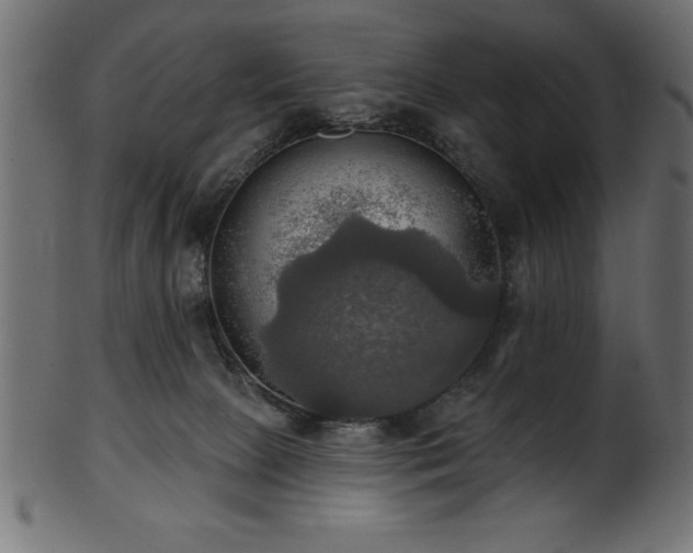 X0000102020081200807181336