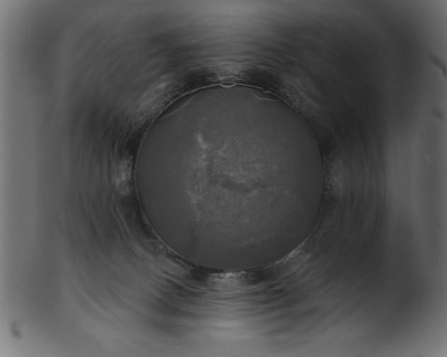 X0000102020082200807181336