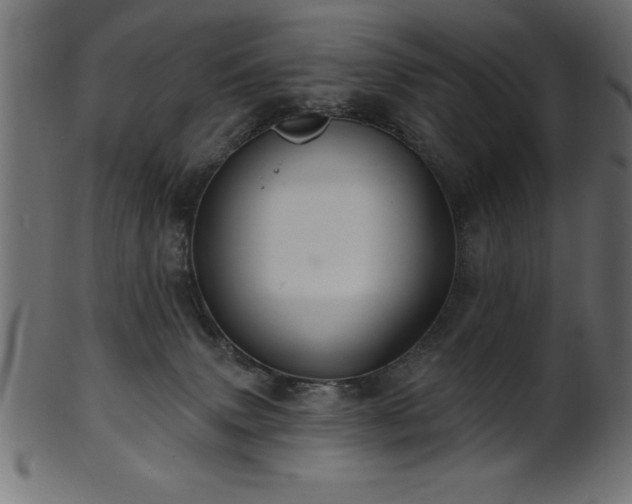 X0000102020083200807181336