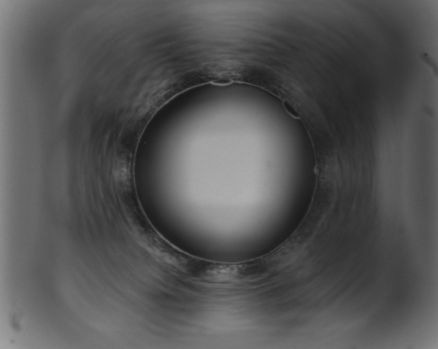 X0000102020084200807181336