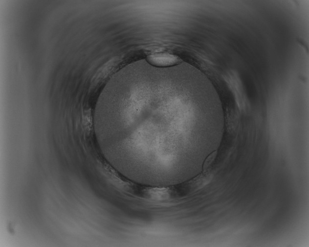 X0000102020085200807181336