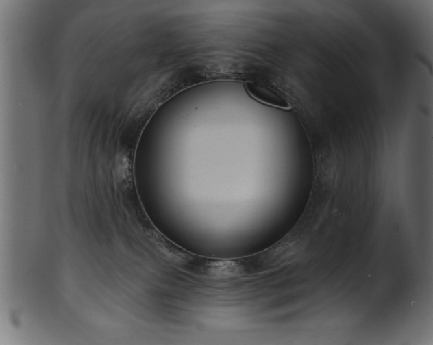 X0000102020087200807181336