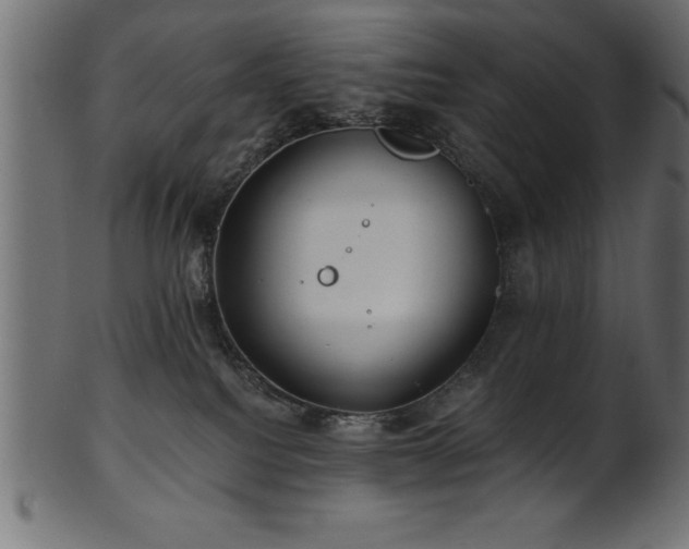 X0000102020088200807181336