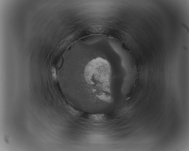 X0000102020089200807181336