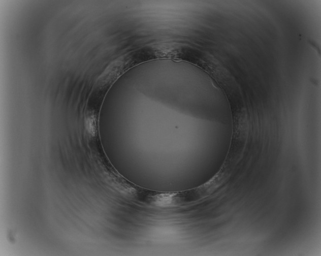 X0000102020090200807181336