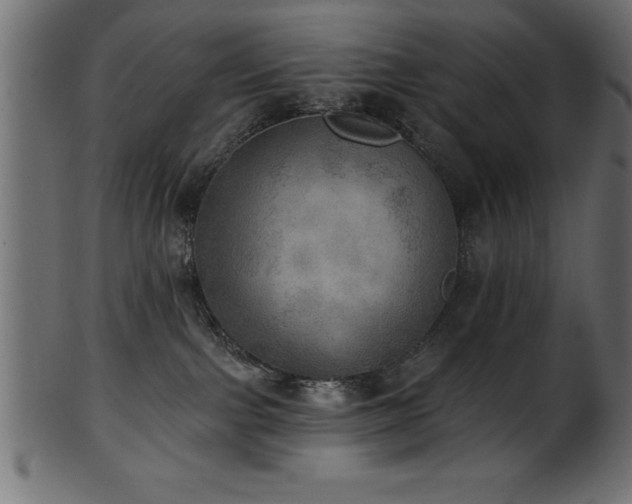 X0000102020091200807181336