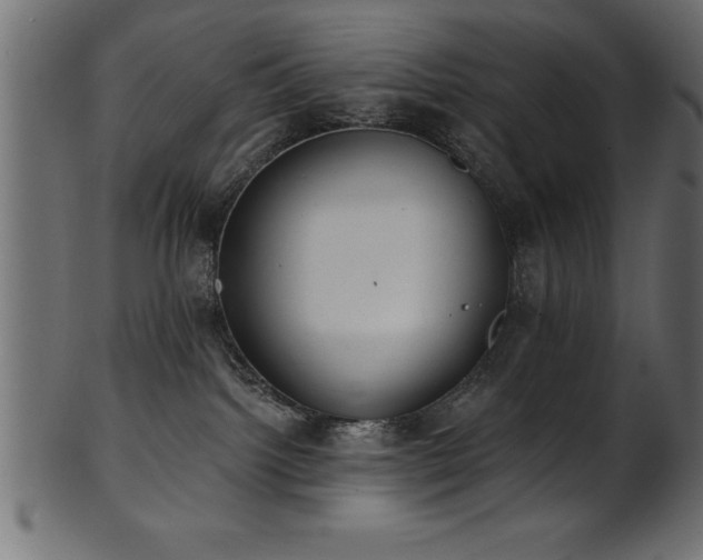 X0000102020092200807181336