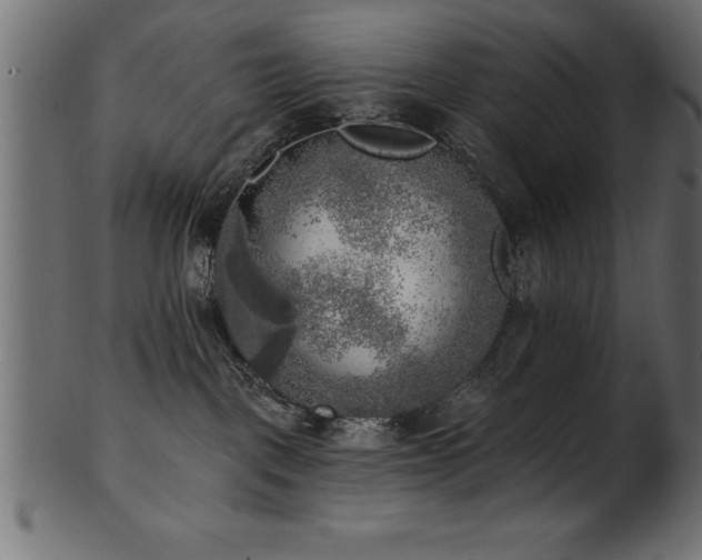 X0000102020093200807181336
