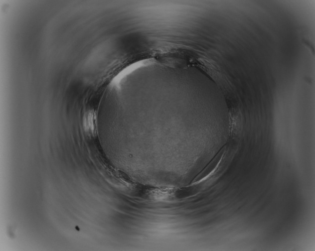 X0000102020094200807181336