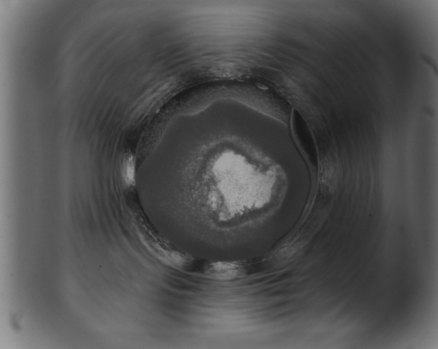 X0000102020095200807181336