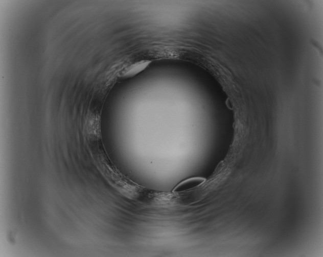 X0000102020096200807181336