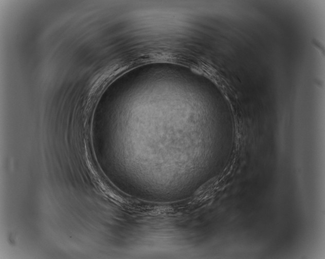 X0000102020097200807181336